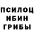 Псилоцибиновые грибы прущие грибы Ekaterina Kasianik