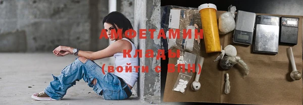 ПСИЛОЦИБИНОВЫЕ ГРИБЫ Бородино