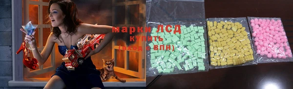 ПСИЛОЦИБИНОВЫЕ ГРИБЫ Бородино