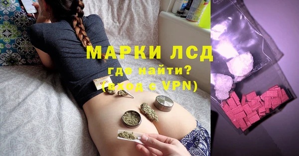 ПСИЛОЦИБИНОВЫЕ ГРИБЫ Бородино